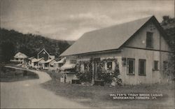 Walter's Trout Brook Cabins Bridgewater Corners, VT Postcard Postcard Postcard