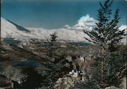 View of City and Bsharri Mountains Postcard