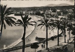 Nice - Le Qual des Estats Postcard