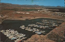 San Carlos Marina Bahia de San Carlos, Mexico Postcard Postcard Postcard