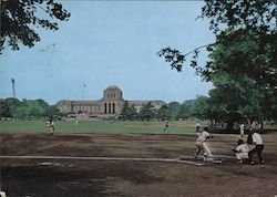 Playing baseball Postcard