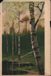 Birch Trees Postcard