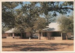 Kruger National Park Postcard