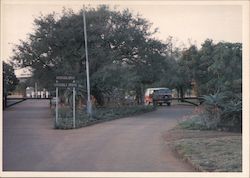 Kruger National Park Postcard