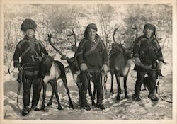Sami people with reindeer in Lapland Postcard