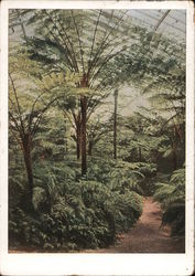 Nazi-Era Munich - Botanical Garden Postcard