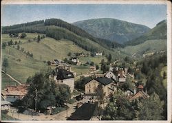 Nazi-Era Sudetengau Postcard