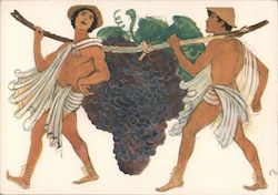 The Winegrowers Festival Postcard