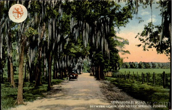 Automobile Road Between Ocala And Silver Springs Scenic Florida