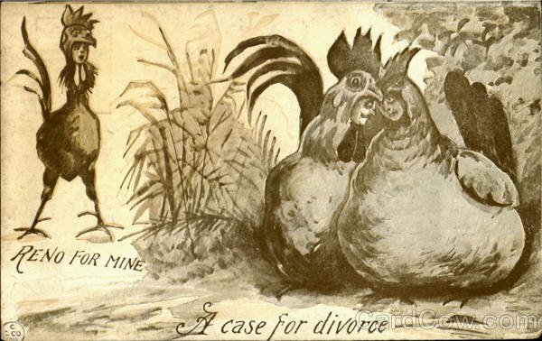 A Case For Divorce Birds