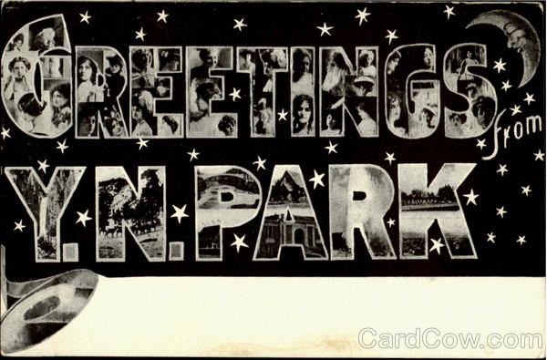 Greetings From Y. N. Park Yellowstone National Park