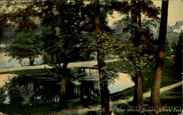 Scene Showing Fountain White's Park Concord New Hampshire