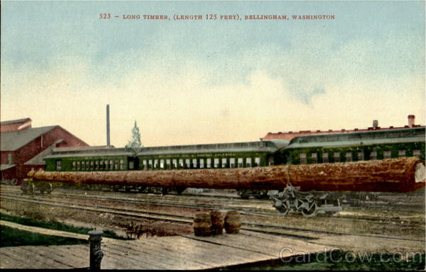 Long Timber Bellingham Washington