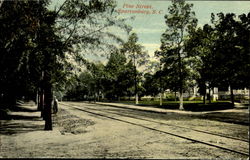 Pine Street Spartanburg, SC Postcard Postcard