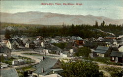 Bird's Eye View Cle-Elum Washington Postcard Postcard