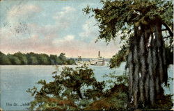 The St. John River East Palatka, FL Postcard Postcard