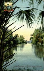 On The Beautiful St. John's River On The Beautiful St. John's River