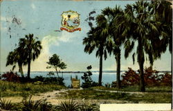 Jacksonville Scene? Postcard