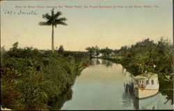 View On Miami River Postcard