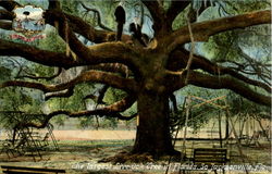 Stock #57511 Thumbnail