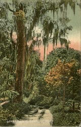 Lovers Lane Sanford, FL Postcard Postcard