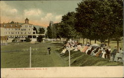 Golf Grounds, Maplewood Hotel New Hampshire Postcard Postcard