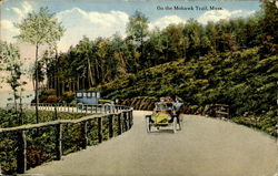 On The Mohawk Trail Postcard