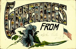 Greetings From Lake City Postcard