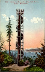 Gunther's Observation Tree, Lake Burian Postcard