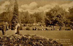 Pansy Bed At Leschi Park Postcard