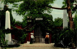 Washington's Tomb Postcard