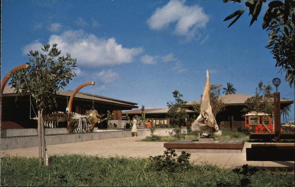 Whalers Village Kaanapali Hawaii E. J. Barton