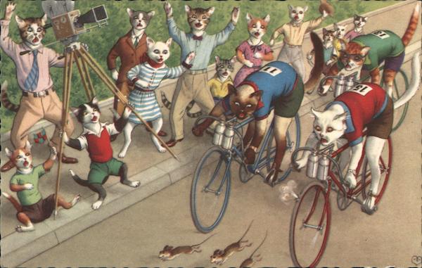 Cats Bike Racing.