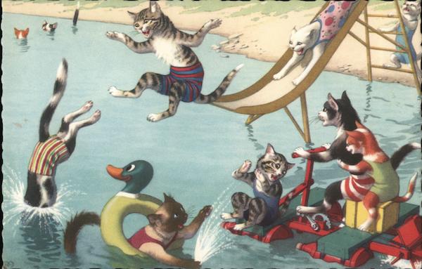 Cats Swimming