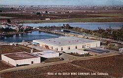 Home of the Guild Wine Company Postcard