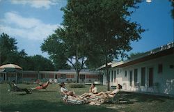 Trees Motel Postcard
