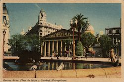 Plaza de Mayo y Catedral Metroplitana Postcard