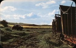 Sugar Plantation Postcard