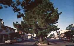 Picturesque Ocean Avenue Postcard