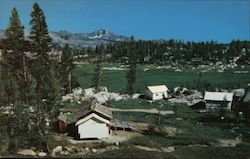 Yosemite National Park California Postcard Postcard Postcard