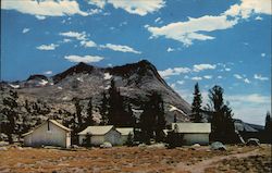 Yosemite National Park Postcard