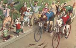 Cats Bike Racing. Postcard