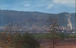 Masonite Corporation Plant Postcard