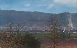 Masonite Corporation Plant Ukiah, CA Postcard Postcard Postcard