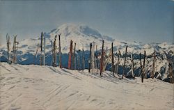 Mount Rainier From Summit House Postcard