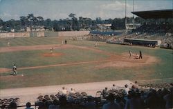 Clearwater Stadium Postcard
