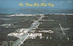 Hi, From Big Pine Key Florida Postcard Postcard Postcard