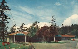 Victoria Auto Court Postcard