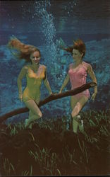 Weeki Wachee Mermaids Florida Postcard Postcard Postcard