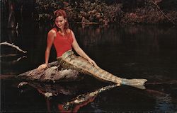 A Lovely Mermaid Relaxes at the Water's Edge Weeki Wachee, FL Postcard Postcard Postcard